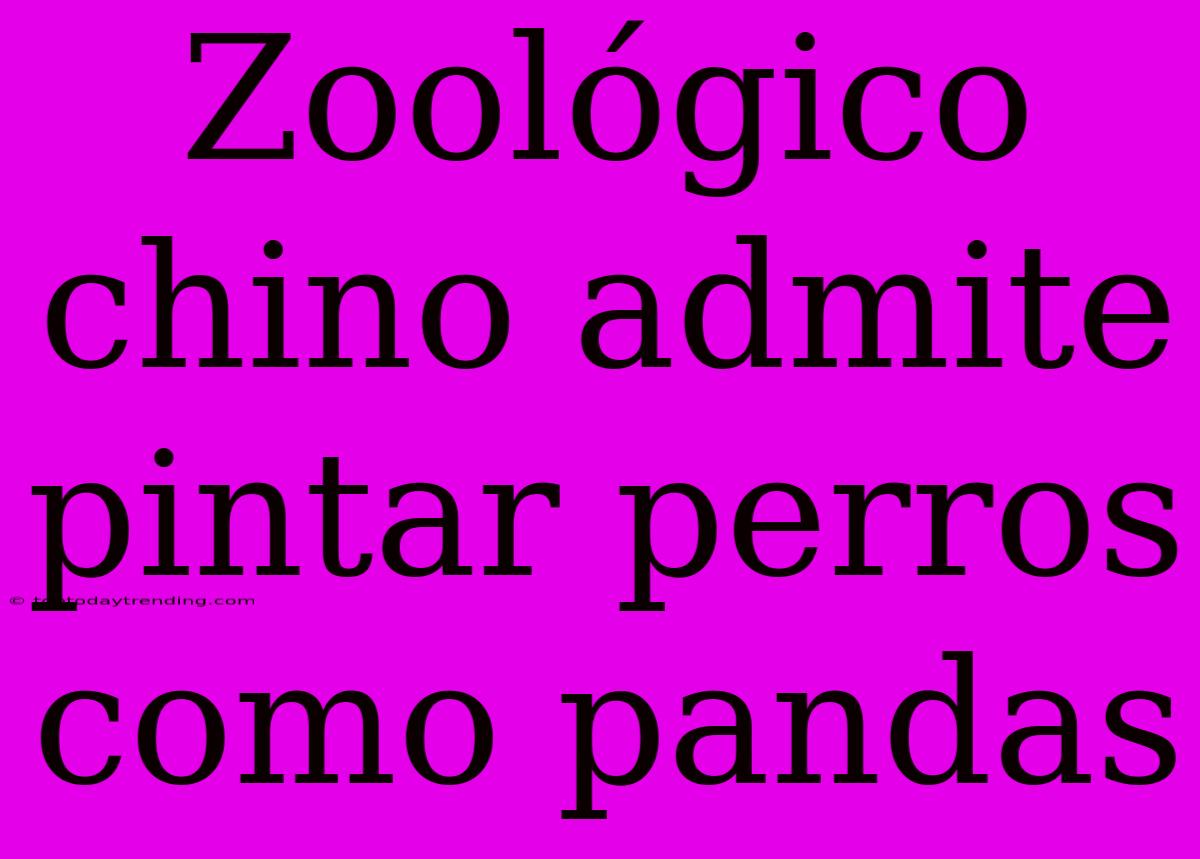 Zoológico Chino Admite Pintar Perros Como Pandas