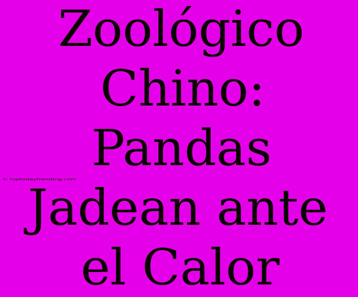 Zoológico Chino: Pandas Jadean Ante El Calor