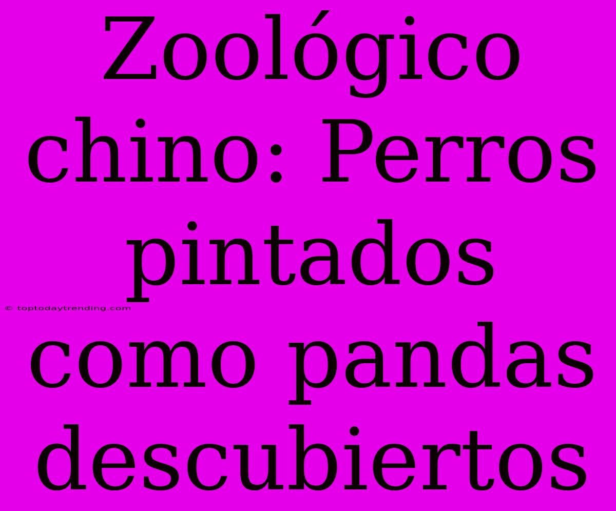 Zoológico Chino: Perros Pintados Como Pandas Descubiertos