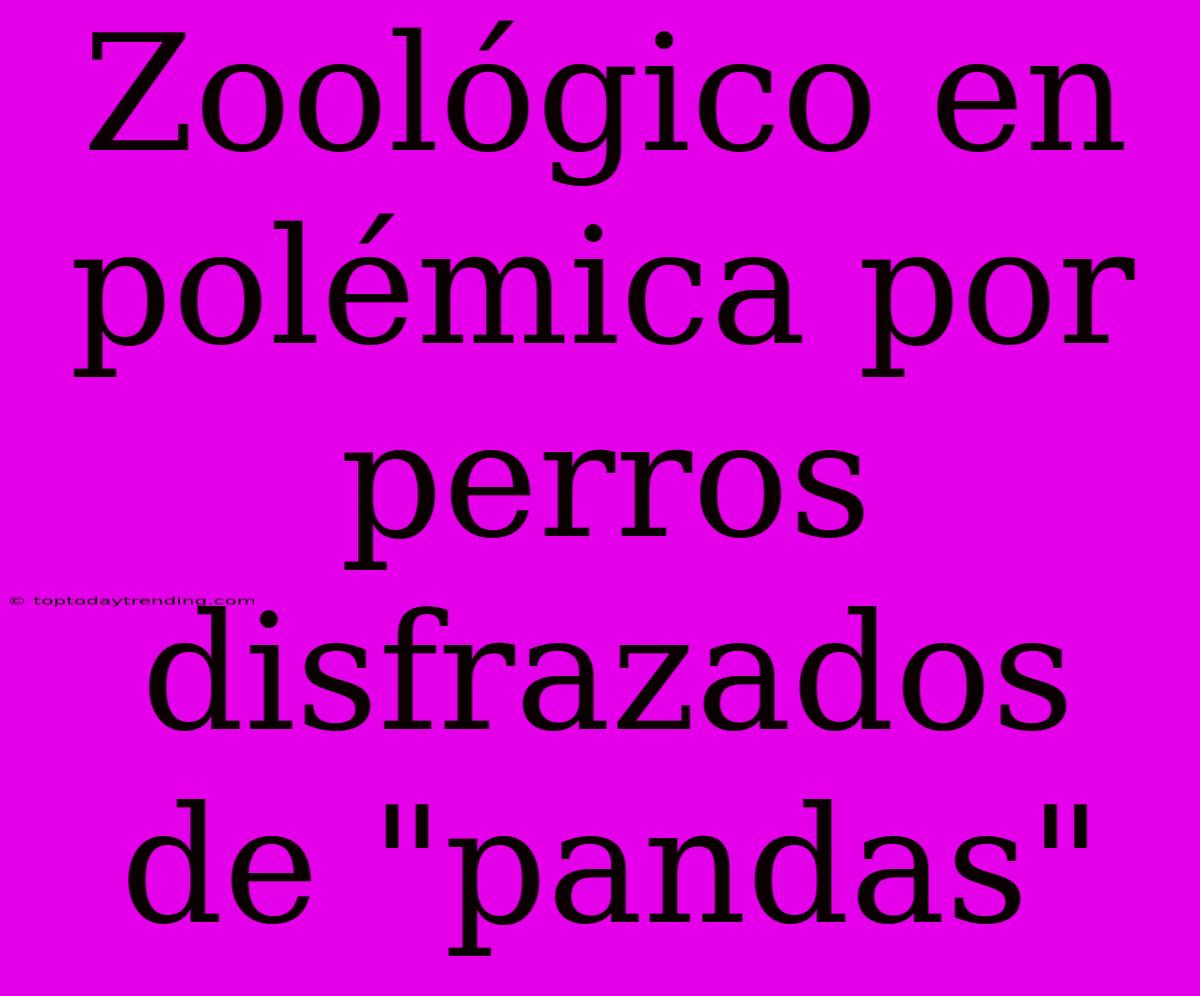 Zoológico En Polémica Por Perros Disfrazados De 