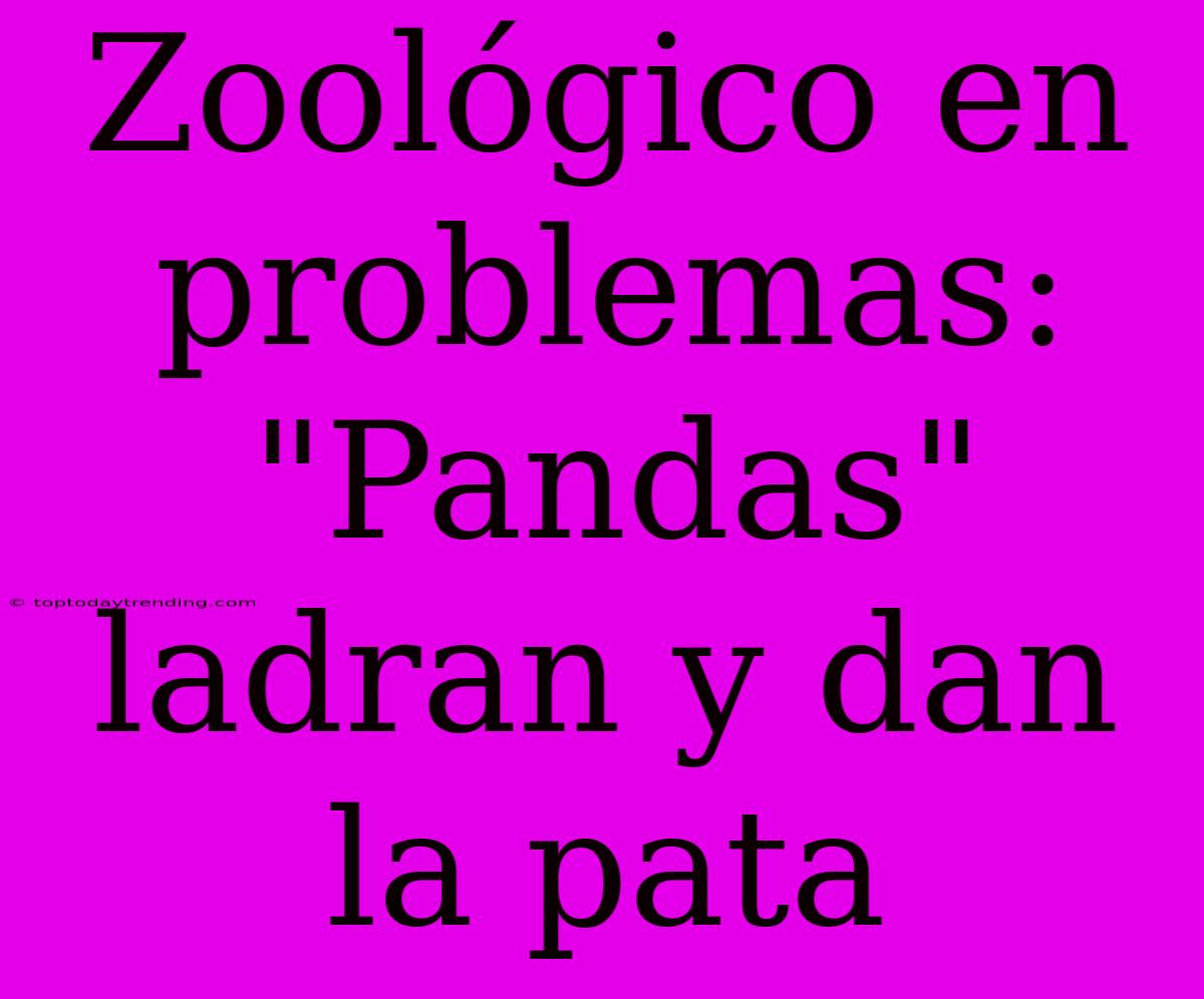 Zoológico En Problemas: 