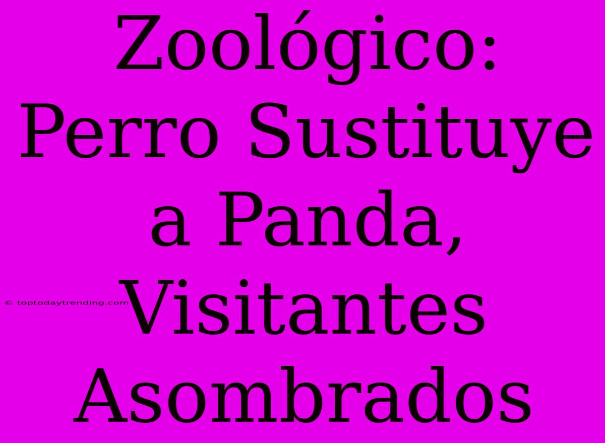 Zoológico: Perro Sustituye A Panda, Visitantes Asombrados