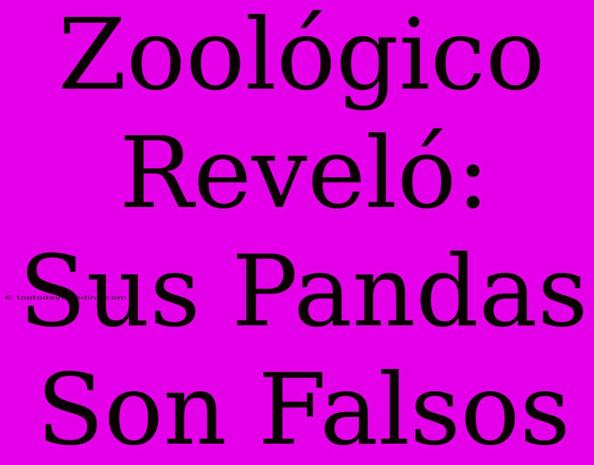 Zoológico Reveló: Sus Pandas Son Falsos