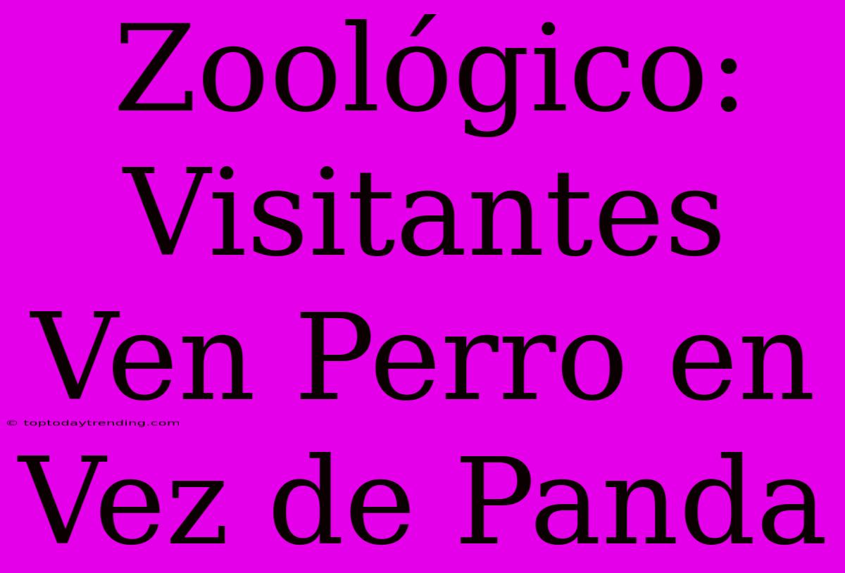 Zoológico: Visitantes Ven Perro En Vez De Panda