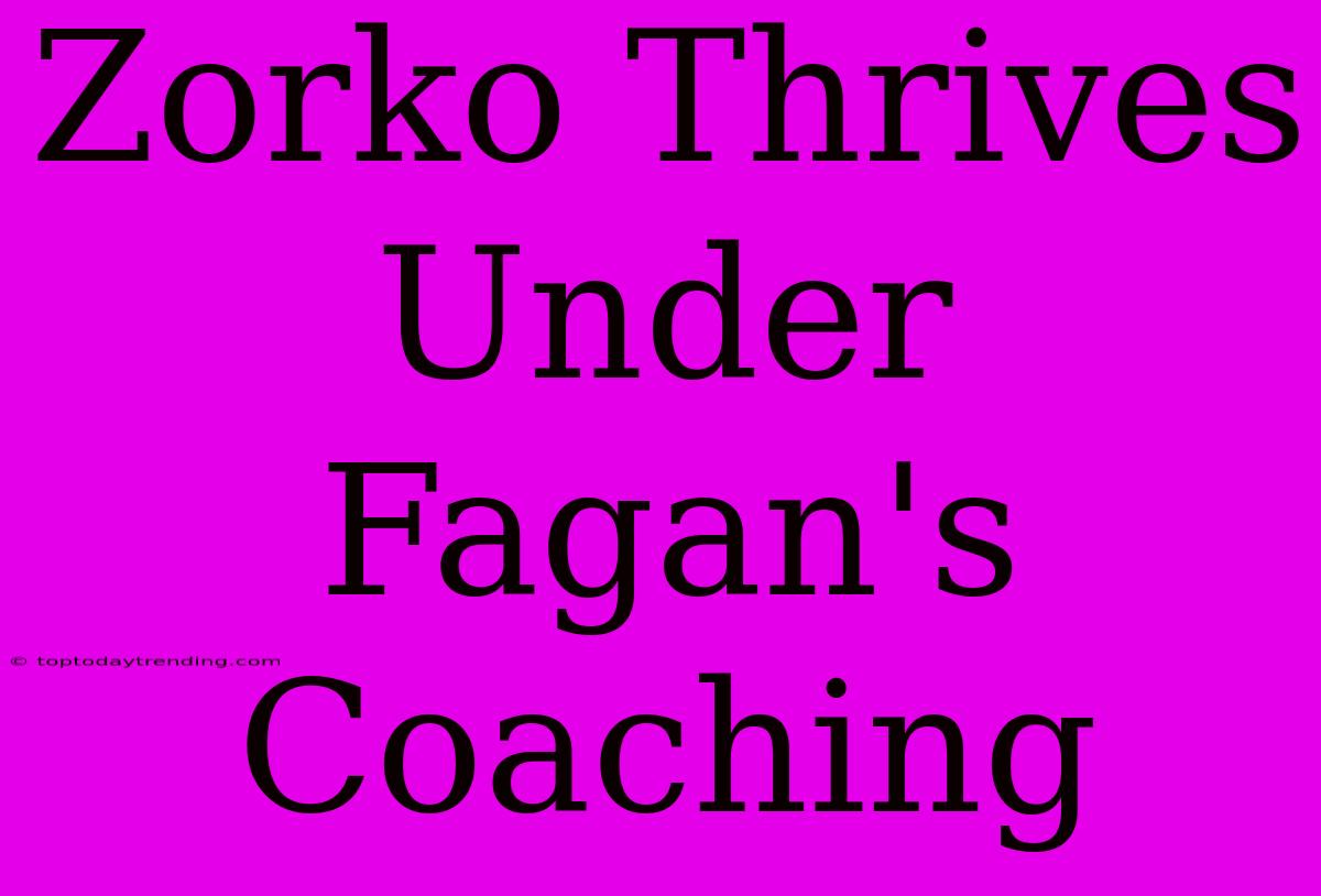 Zorko Thrives Under Fagan's Coaching