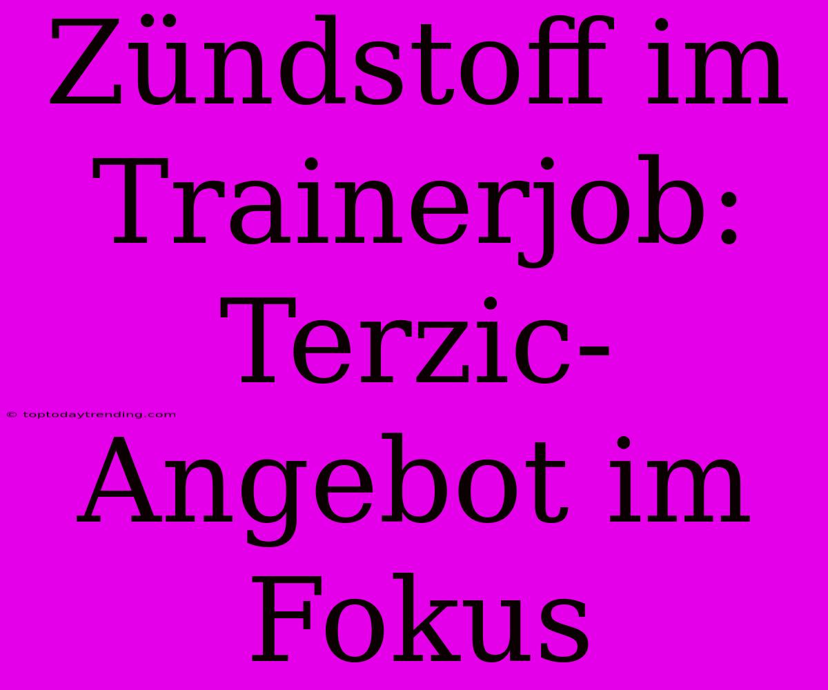 Zündstoff Im Trainerjob: Terzic-Angebot Im Fokus