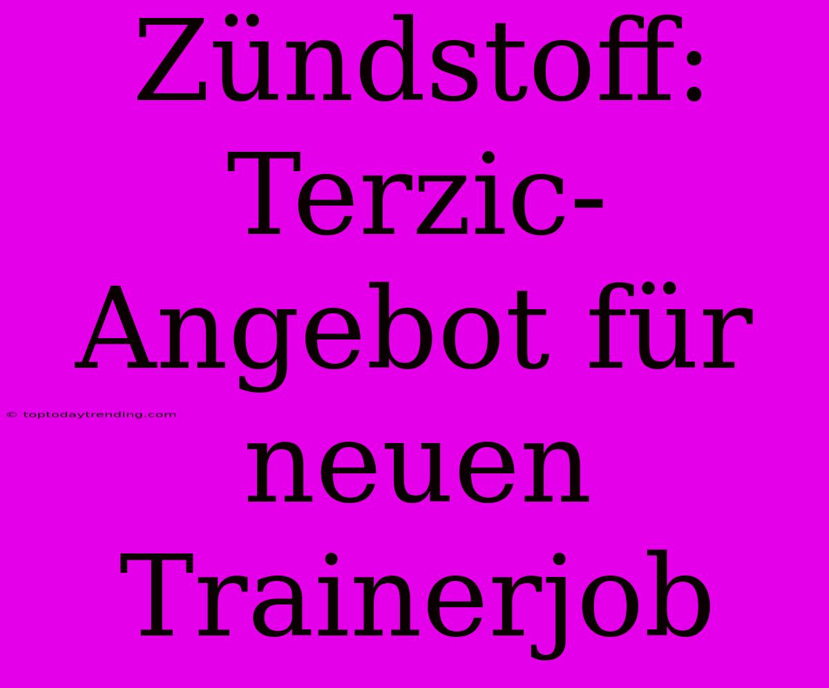 Zündstoff: Terzic-Angebot Für Neuen Trainerjob