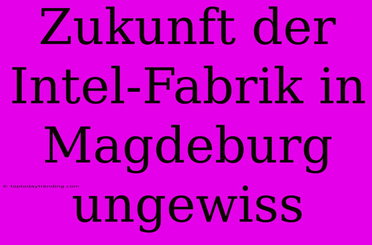 Zukunft Der Intel-Fabrik In Magdeburg Ungewiss